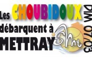 ÉTAPE METTRAY DES CHOUBIDOUX